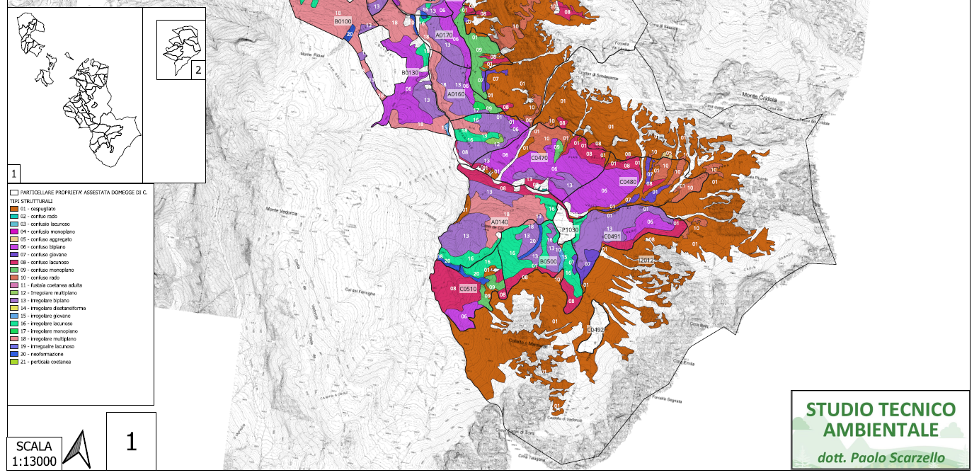 Elaborato tecnico di progettazione con planimetria, sezioni e foto di cantiere per interventi forestali e di ingegneria naturalistica.