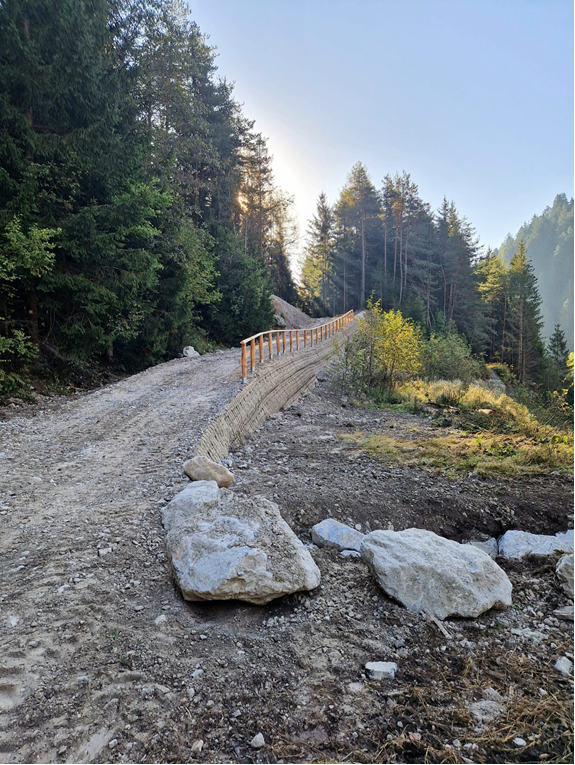 Scarpata stabilizzata con opere di ingegneria naturalistica lungo una strada forestale in montagna, con pali in legno, pietrame e rete in cocco, immersa in un bosco misto.