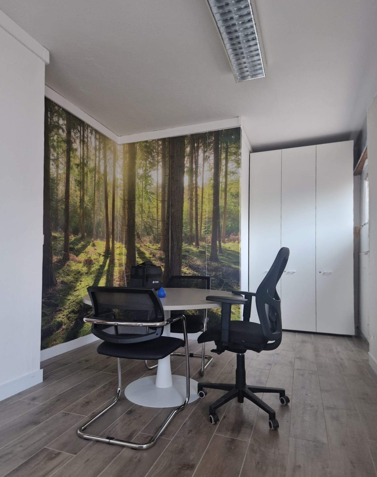 Interno dello studio tecnico ambientale: stanza luminosa con tavolo rotondo da riunione, sedie nere e parete decorata con grande immagine di bosco, pavimento in legno chiaro e armadio bianco sul fondo.
